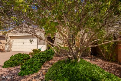 31305 N 26 Th Drive, House other with 4 bedrooms, 3 bathrooms and null parking in Phoenix AZ | Image 3