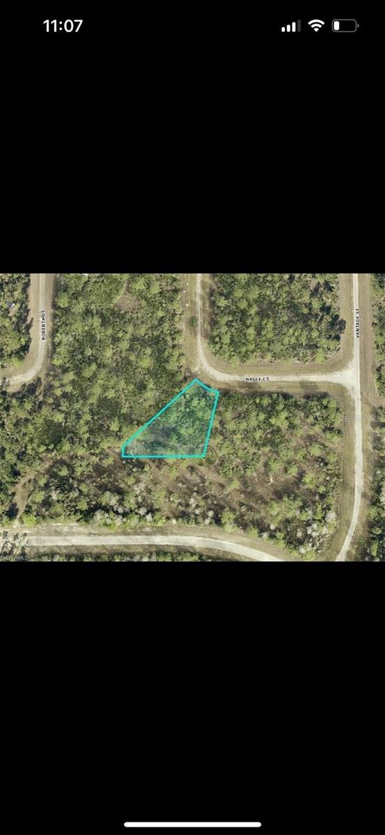 Land in LEHIGH ACRES 4
