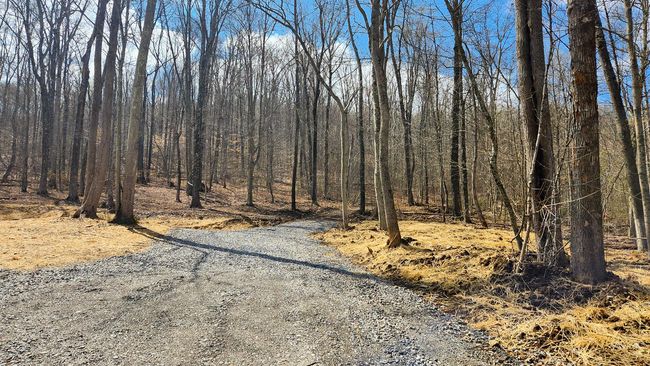 TRACT-1-PIKE-LAKE-GETAWA - 0 Pike Lake Rd, Home with 0 bedrooms, 0 bathrooms and null parking in Bainbridge OH | Image 11