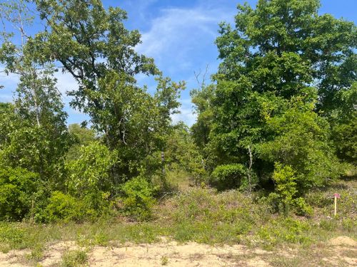 Tbd Rome Ave, Alford, FL, 32420 | Card Image