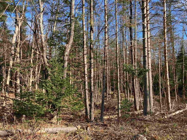 lot 5 Nh Route 4a, Home with 0 bedrooms, 0 bathrooms and null parking in Grafton NH | Image 21
