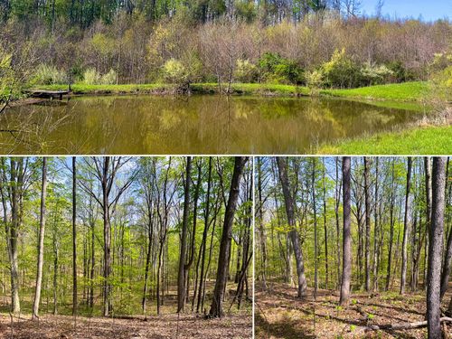 tract-13-albany-woods-41447 State Route 684, Albany, OH, 45710 | Card Image