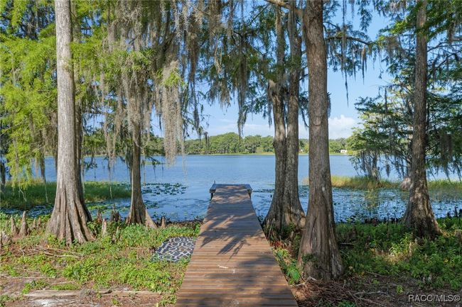 5870 N Briarcliff Ter, House other with 3 bedrooms, 3 bathrooms and 2 parking in Hernando FL | Image 39