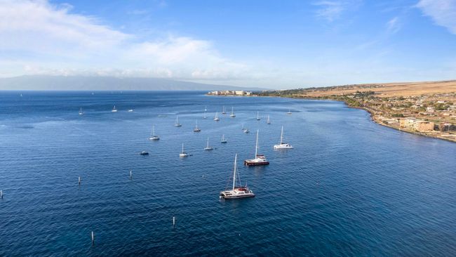 D402 - 1400 Limahana Cir, Condo with 4 bedrooms, 3 bathrooms and null parking in Lahaina HI | Image 6