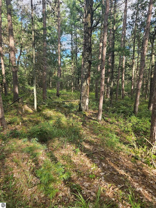 0 Vaughn Rd, Home with 0 bedrooms, 0 bathrooms and null parking in Hale MI | Image 20