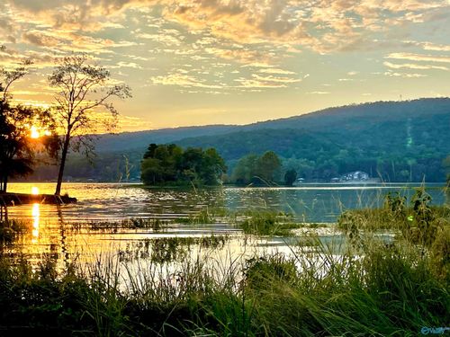 2842 Lake Forest Dr W, Southside, AL, 35907-7108 | Card Image