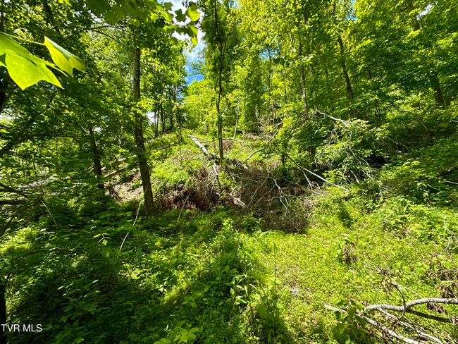 47 Tbd Enoch Rd, Home with 0 bedrooms, 0 bathrooms and null parking in Eidson TN | Image 19