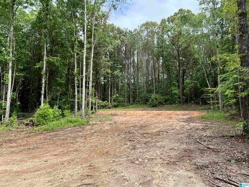 tract-2-Tract 2 343 County Road 892, Wedowee, AL, 36278 | Card Image