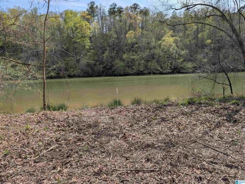 a-Lot 1-A River Crest Drive, Cordova, AL, 35550 | Card Image