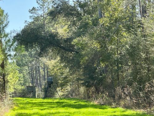6416 Douglas Ferry Rd, Caryville, FL, 32427-2305 | Card Image