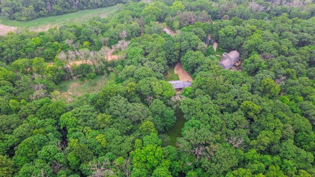 Privacy Surrounded By Mature Trees | Image 28