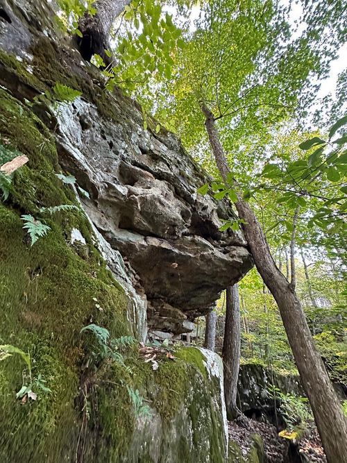 LOT 408 E Obey Ln, Wilder, TN, 38589 | Card Image