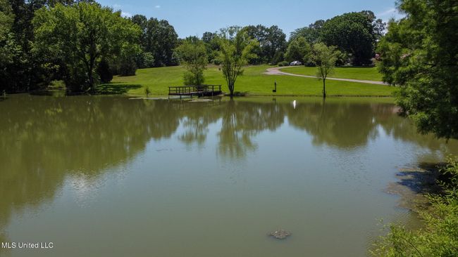 Pond | Image 58