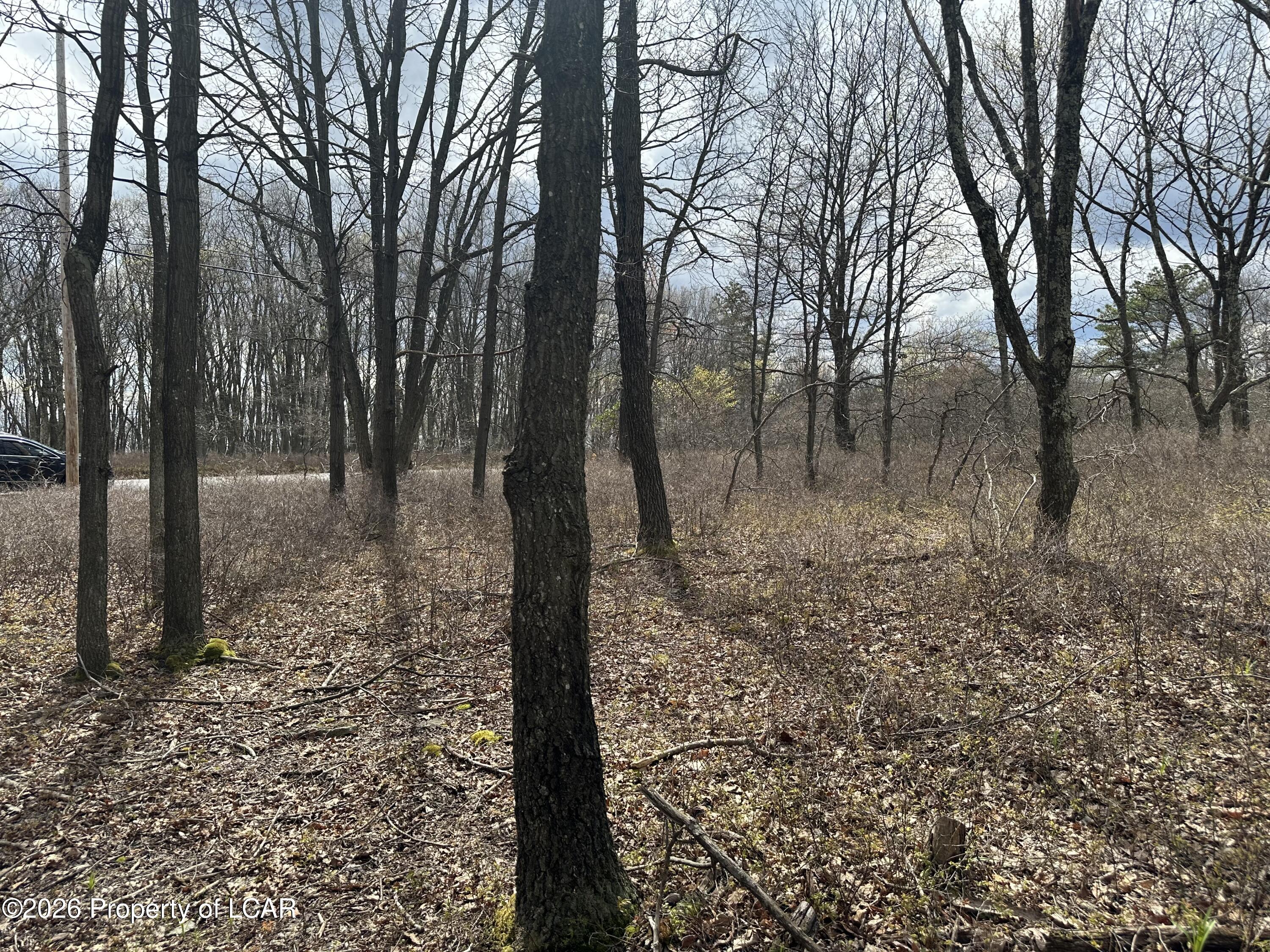 Land in Hazle Twp 3