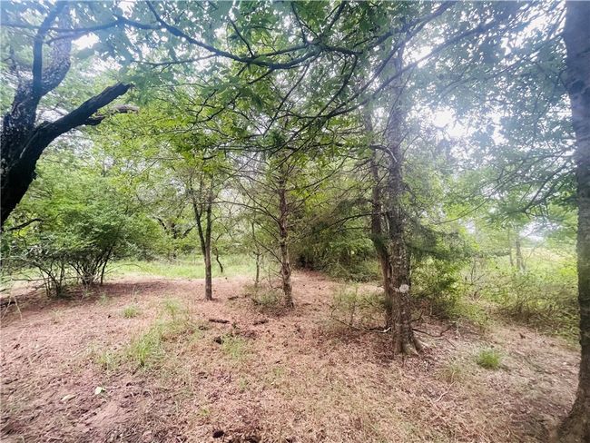 8409 S Hickory Loop, Home with 0 bedrooms, 0 bathrooms and null parking in Calvert TX | Image 15