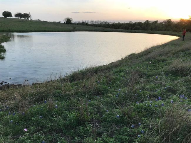 5796 Hurtig Rd, Home with 0 bedrooms, 0 bathrooms and null parking in Bleiblerville TX | Image 13