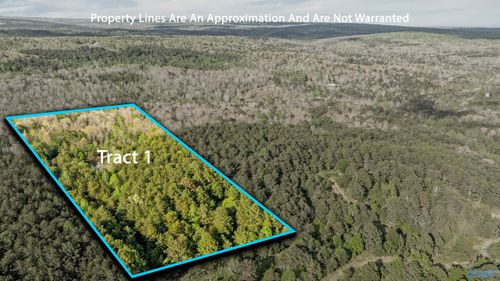 Tract 1 Road 9002, Mentone, AL, 35984-2746 | Card Image