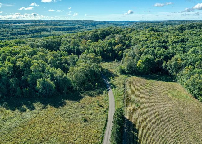 DJI_0388.jpg | Image 12