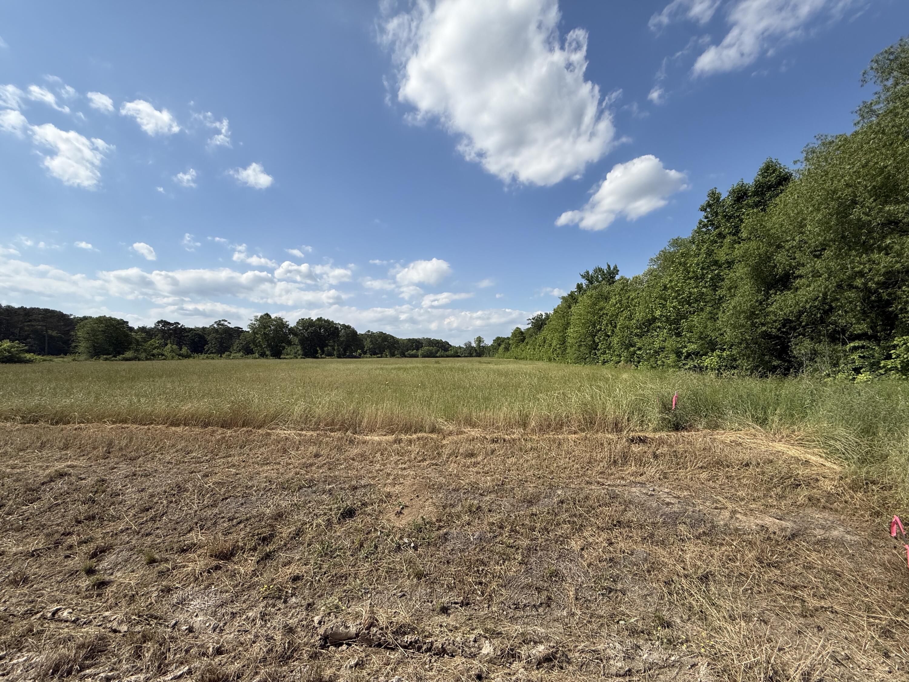 Land in Fulton 2
