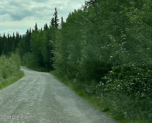 Lot 21 Dixon Drive, Copper Center, AK, 99573 | Card Image