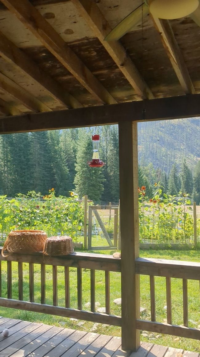 Garden in full bloom | Image 40