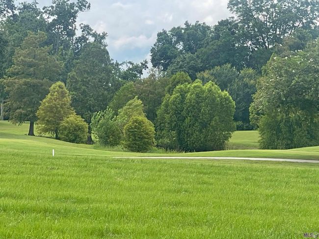 69 April Ln, Home with 0 bedrooms, 0 bathrooms and null parking in Plaquemine LA | Image 4
