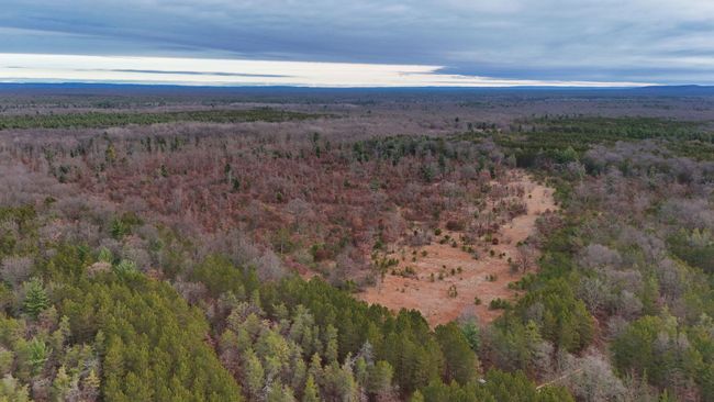 3726 N Custer Rd, Home with 0 bedrooms, 0 bathrooms and null parking in Manistee MI | Image 6