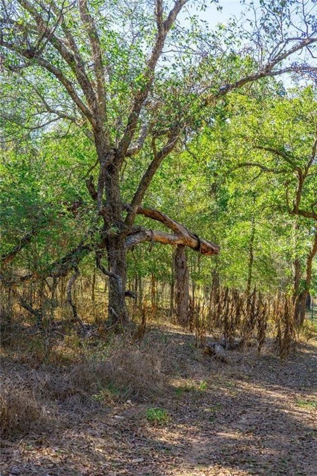 3597 Baker Rd, Home with 0 bedrooms, 0 bathrooms and null parking in Kingsbury TX | Image 11