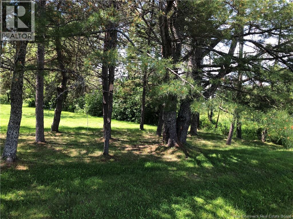 Land in Colpitts Settlement 4
