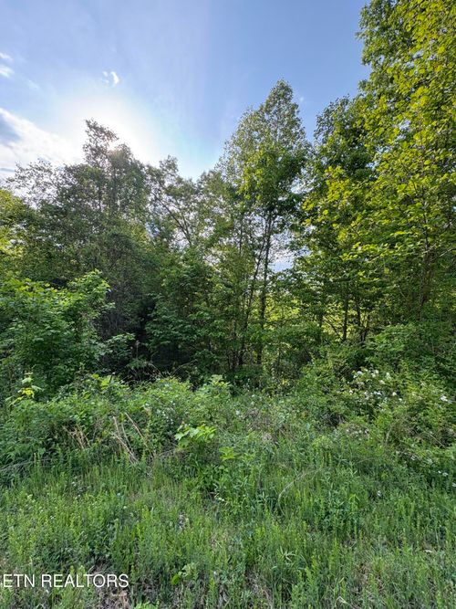 lot 29 Saddle Ridge Dr, Speedwell, TN, 37870 | Card Image