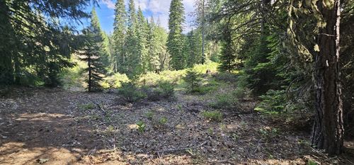 91 Wildwood Ranch Rd, Wildwood, CA, 96076 | Card Image