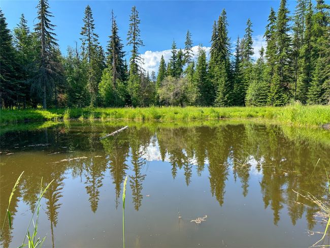32 Whitepine Creek Rd, House other with 2 bedrooms, 2 bathrooms and null parking in Trout Creek MT | Image 69