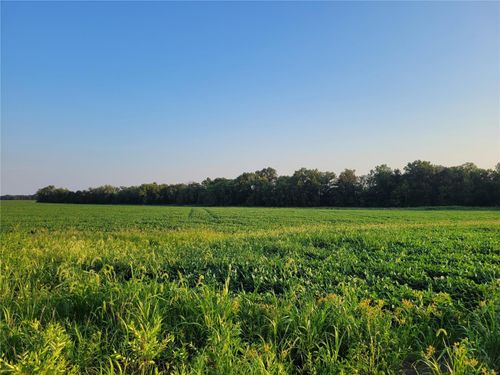 0 Hwy Dd (17+/- Ac) Tract B, Bellflower, MO, 63333 | Card Image