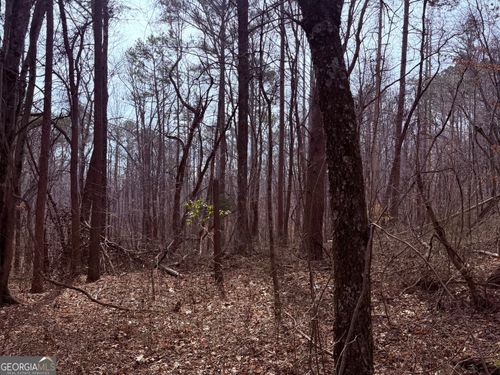 967 Old Highway 100, Waco, GA, 30182-2104 | Card Image