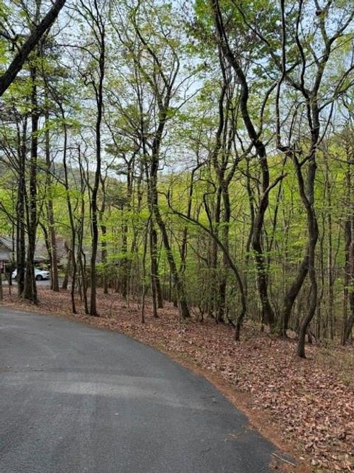 226 Crested Fern Ln, Big Canoe, GA, 30143 | Card Image