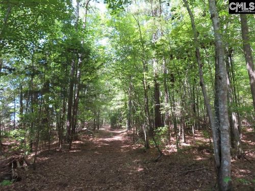 0 Holy Trinity Church Rd, Little Mountain, SC, 29075 | Card Image