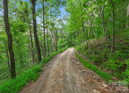 99999 Little Pisgah Rd, Gerton, NC, 28735 | Card Image