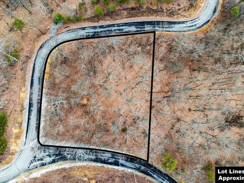 1126 Keetoowah Dr, Mooresburg, TN, 37811-2673 | Card Image