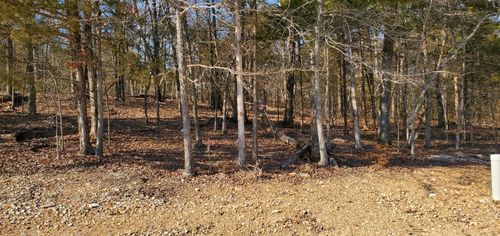 000 Lot 100 Summer Breeze Lane, Kimberling City, MO, 65686 | Card Image