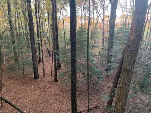 10+AC Groton Tract A Woods, Onancock, VA, 23417 | Card Image