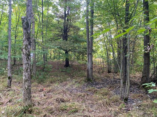 19 Turtle Lane, Mckellar, ON, P0G1C0 | Card Image