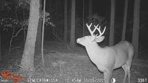 Land in CATAWISSA 2