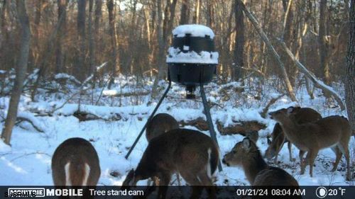 159 3rd Ave, Estell Manor, NJ, 08319-1729 | Card Image