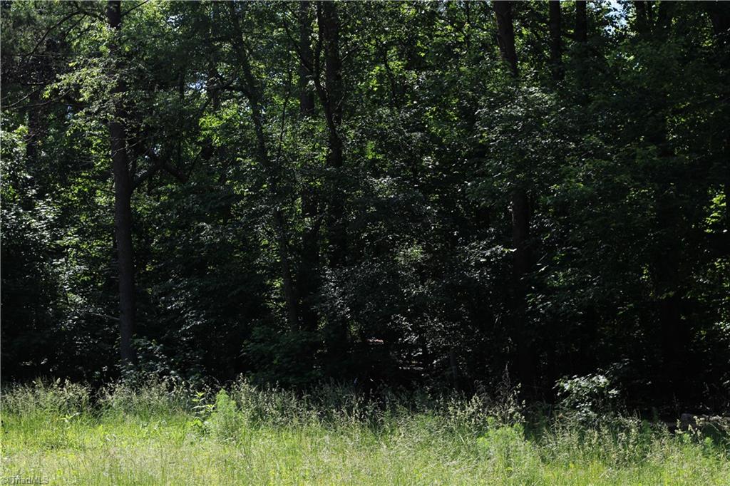 Land in High Point 2