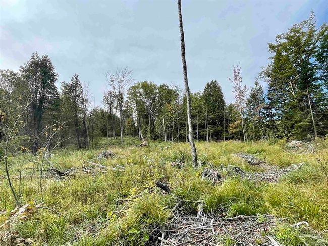 2209 Underpass Rd, Home with 0 bedrooms, 0 bathrooms and null parking in Sutton VT | Image 11