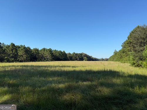 tract-4-0 Green Cypress Church Rd, Claxton, GA, 30417 | Card Image