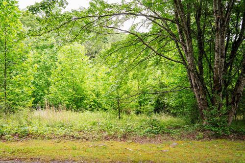 Lot 29 Hidden Forest Ln, Hayesville, NC, 28904 | Card Image
