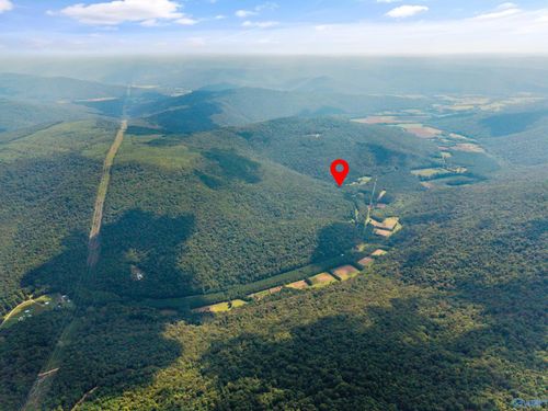 6-3818 -6 County Road 4, Hollytree, AL, 35751-5420 | Card Image