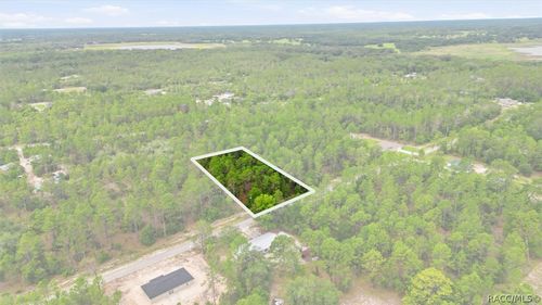 0000 Sw Beaver Drive, Dunnellon, FL, 34431 | Card Image