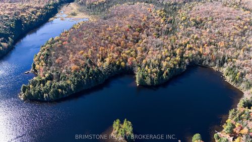 ROW over 1741 Paint Lake Rd Road, Lake of Bays, ON, P0B1A0 | Card Image